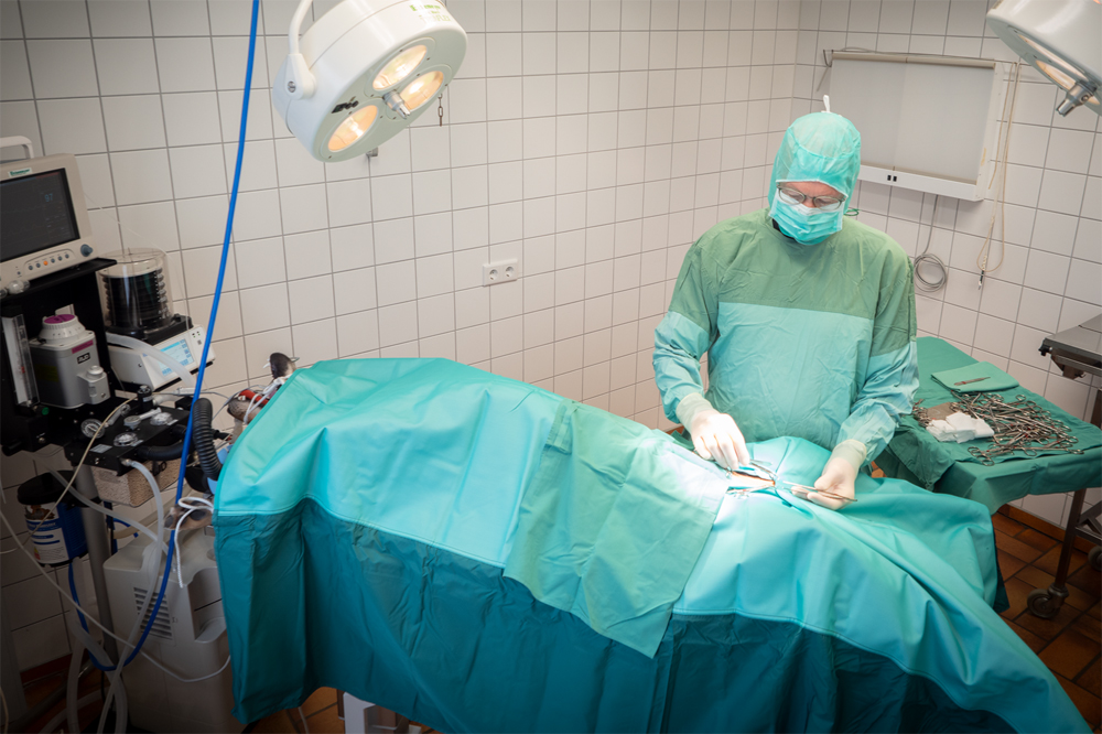 Innere Medizin – Abbildung 1