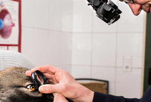 Ophthalmologie – Praxisbild